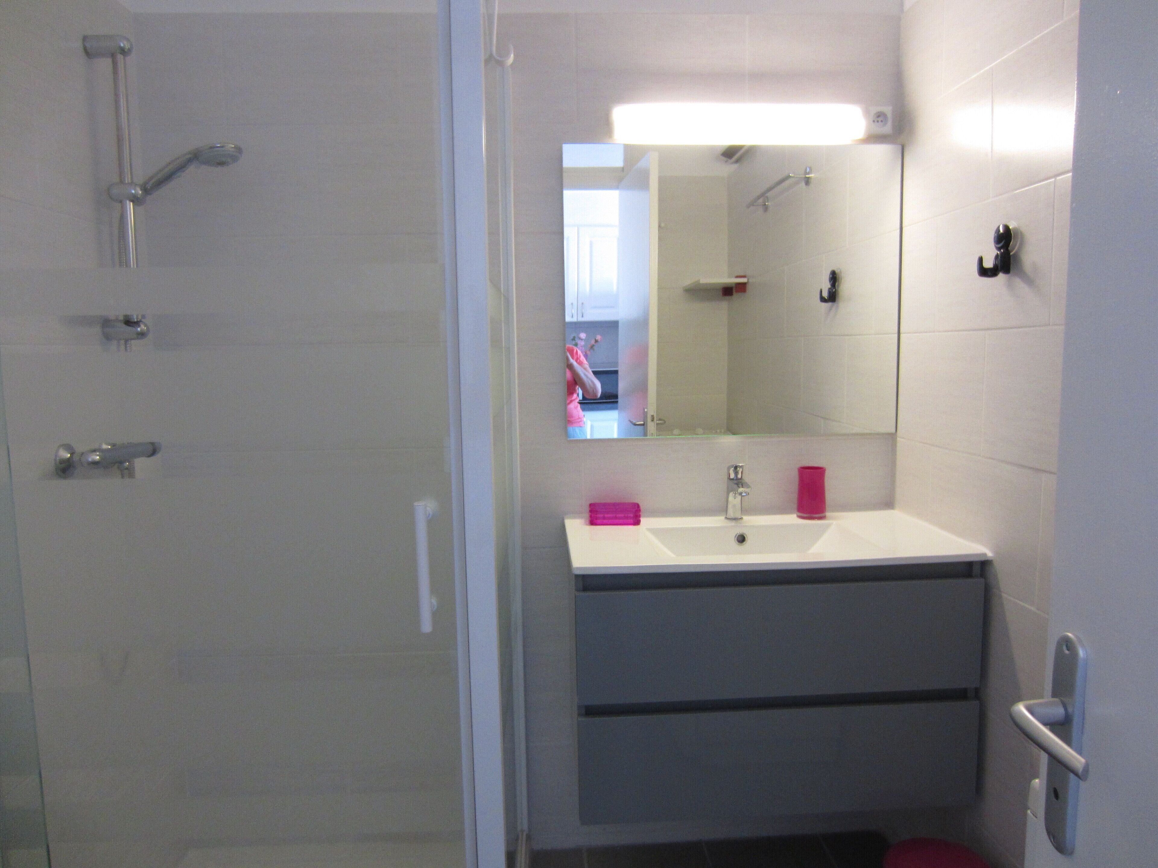 Shower, hair dryer, toilet paper