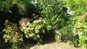 Een tuin met een pad van stenen dat leidt naar een houten poort.
