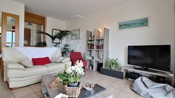 Télévision, cheminée, lecteur de DVD, baby-foot