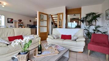 Télévision, cheminée, lecteur de DVD, baby-foot