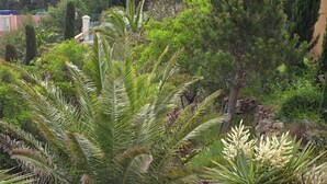 A lush garden with various plants and trees, including a prominent palm tree. - Facing the sea and the Estérel massif, Antheor, town of Saint Raphaël  (Saint-Raphaël)