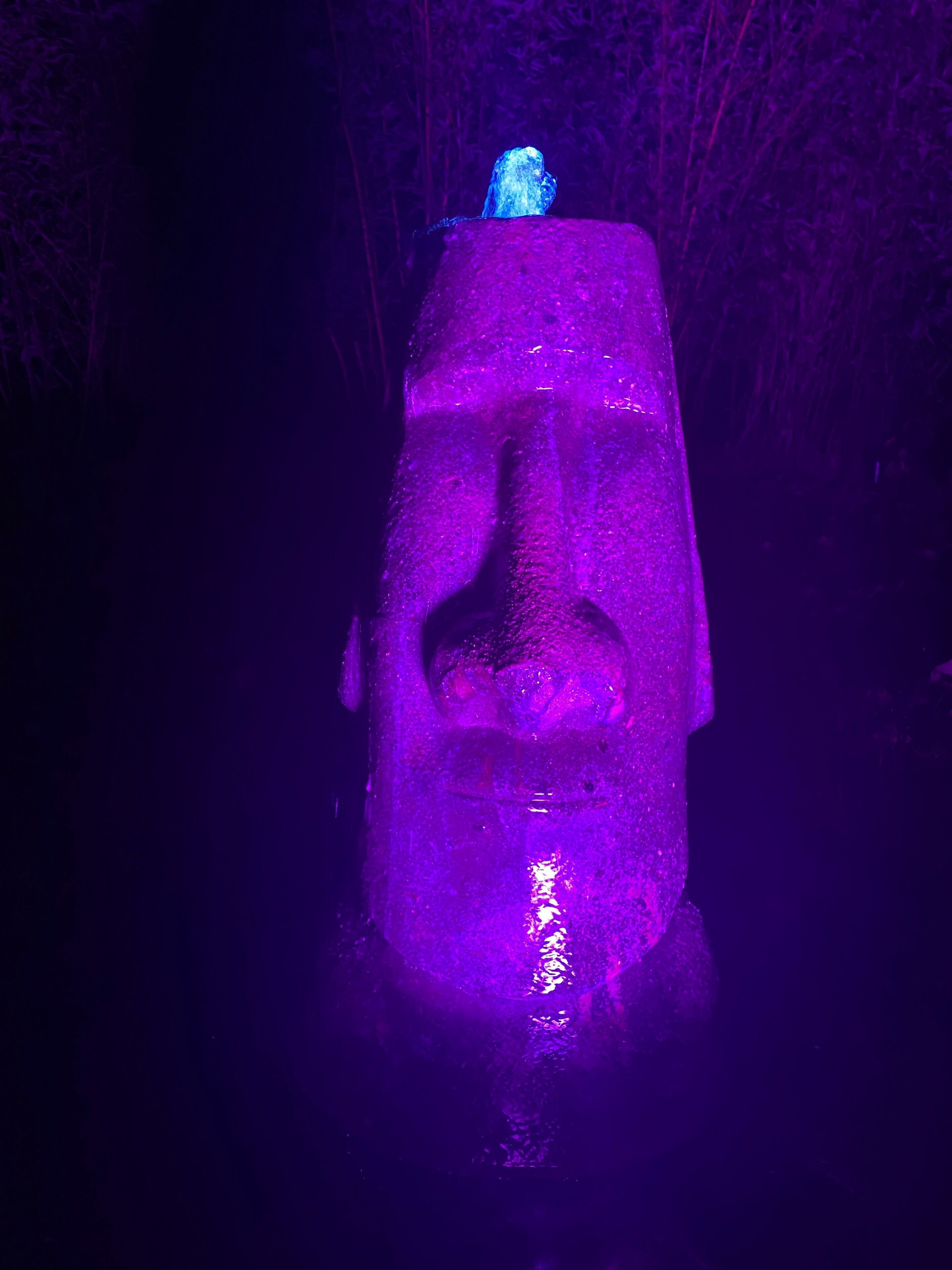 Una struttura in pietra con un volto scolpito, illuminata da luci viola.