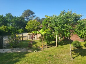 Property grounds - In Mimizan-plage sud, small wooden house facing the forest, 2km from the ocean  (Mimizan)