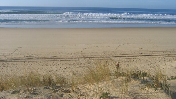 A beach with sand, waves, and sparse vegetation. - In Mimizan-plage sud, small wooden house facing the forest, 2km from the ocean  (Mimizan)