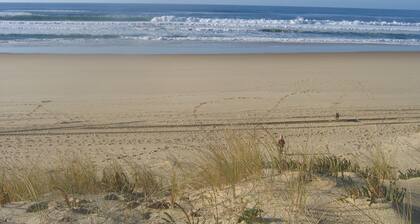 In Mimizan-plage sud, small wooden house facing the forest, 2km from the ocean