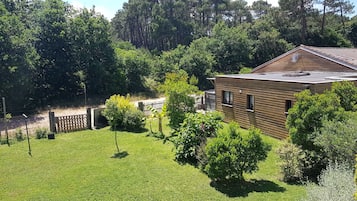 Ărea da propriedade