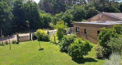 In Mimizan-plage sud, small wooden house facing the forest, 2km from the ocean