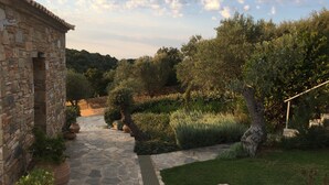 A stone pathway leading to a rustic stone building, surrounded by lush greenery and trees. - 2 villas together for an exceptional view with private pool (SKIATHOS)
