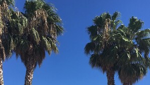 Una piscina con palmeras, techo de tejas y un edificio con una verja.