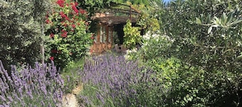 Mas 8 people at the foot of MonT Ventoux 2 ??steps from the Alpilles & Luberon 