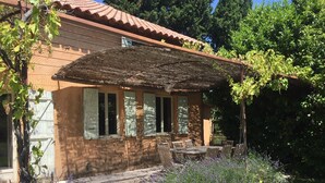 Una casa con techo de tejas, un porche cubierto y un jardín con plantas de lavanda.