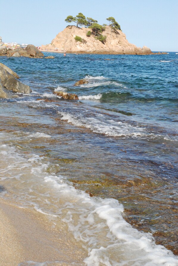 Une plage avec une eau claire, des rochers et une petite colline parsemée d’arbres.