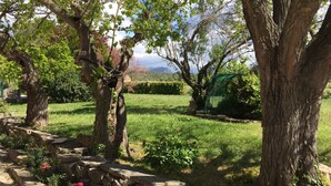 Un jardín con senderos de piedra, árboles y una estructura verde.