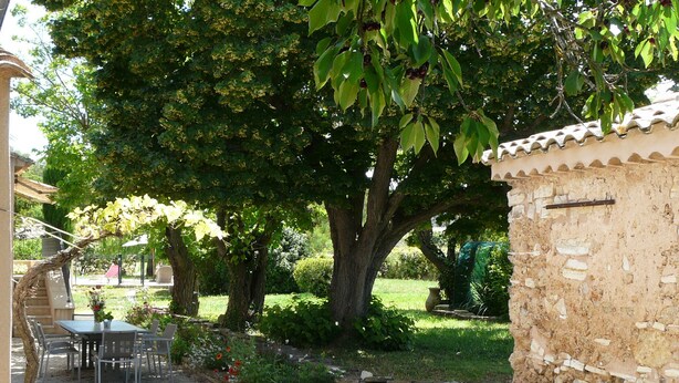 Un patio con mesa y sillas, rodeado por un muro de piedra y abundante vegetación.