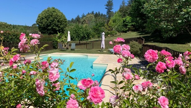 A swimming pool surrounded by lush greenery and pink flowers. - Comfortable cottage in a wooded area by the pool near Sarlat (Calviac-En-Périgord)