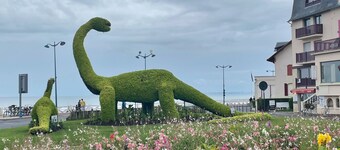 Charmante Wohnung im Stadtzentrum von 63 m2