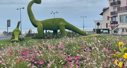 Charming apartment in the city center of 63 m2