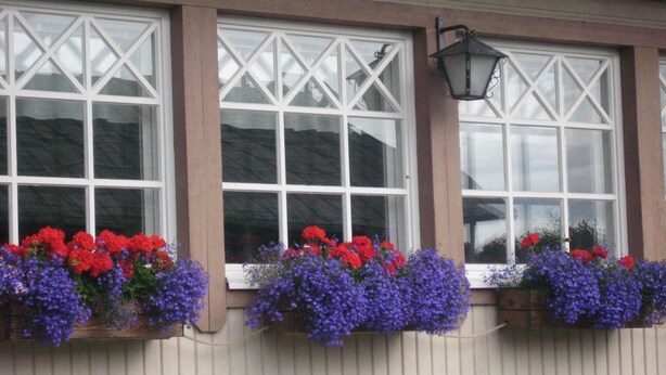 A building with three windows, each with a white frame and a diamond pattern. There are flower boxes with red and purple flowers on the windowsills.