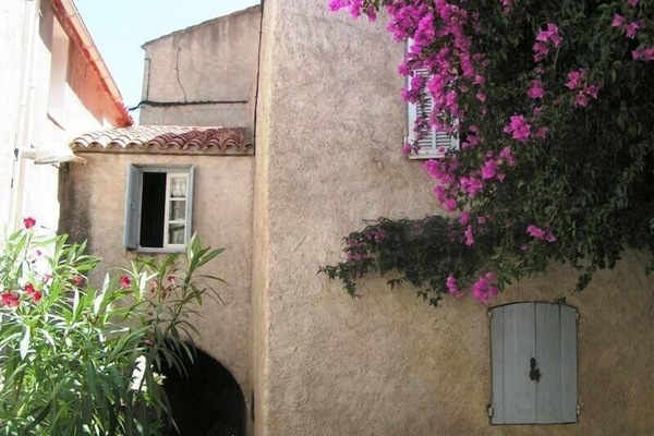 La maison
Fenêtres cuisine & chambre (bougainvillier)