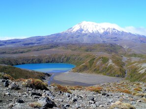 Alberca