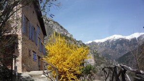 A rustic stone building with blue shutters, a yellow flowering tree, and a mountain backdrop.