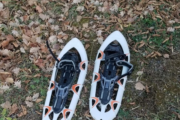Divers