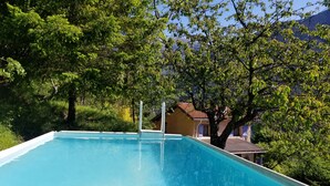 An outdoor swimming pool surrounded by lush greenery and a house in the background.