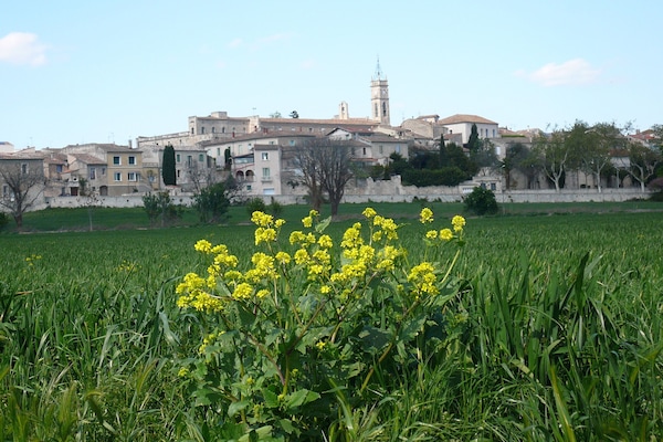 Área da propriedade