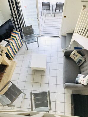 Télévision, cheminée, lecteur de DVD, livres