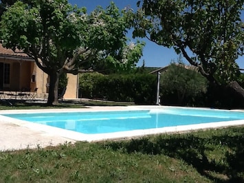 piscine avec arbre Catalpa procurant un coin d'ombre trÚs apprécié en plein été