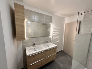 Bathtub, hair dryer, toilet paper