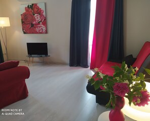 TV, books - Beautiful apartment at the entrance of Gorges du Tarn (La Cresse)