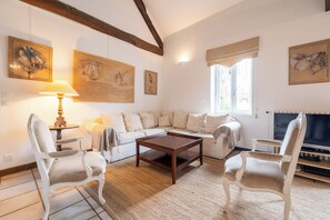 TV, fireplace, DVD player, books