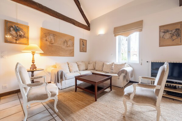 Televisión, chimenea, reproductor de DVD y libros 