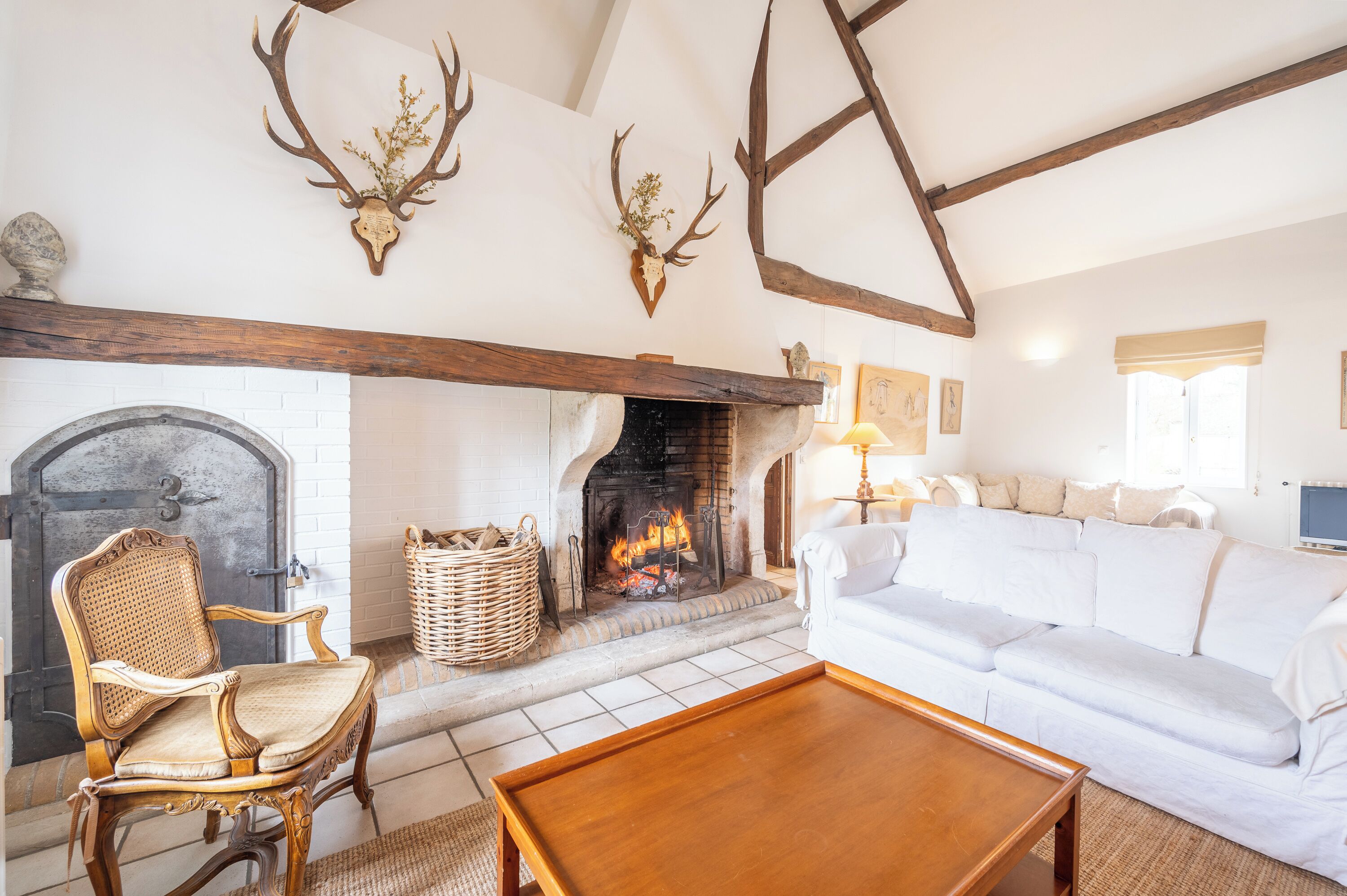 電視、壁爐、DVD 播放機、書籍