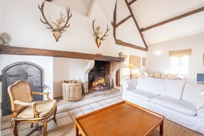 Télévision, cheminée, lecteur de DVD, livres