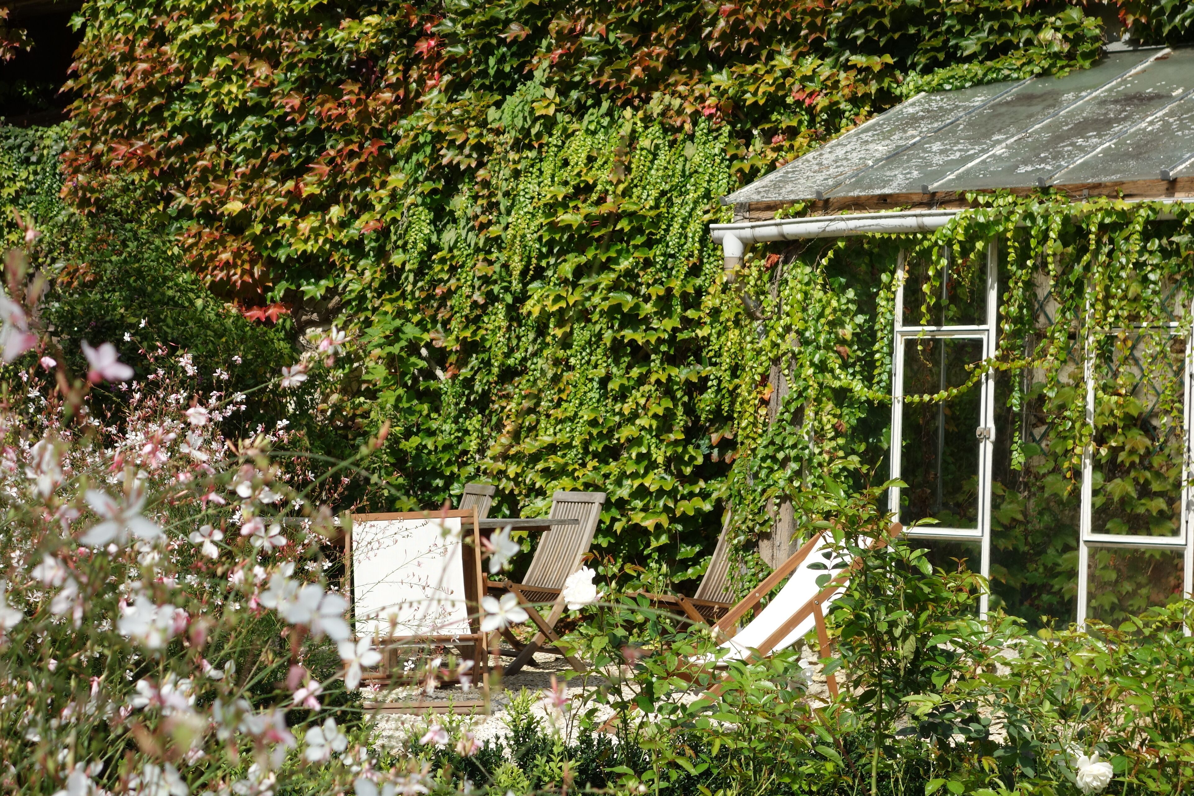 Ein Wintergarten mit Glasdach, umgeben von üppiger Vegetation und blühenden Pflanzen.