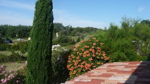 Un giardino con un albero alto, un cespuglio con fiori arancioni e un tetto in tegole.