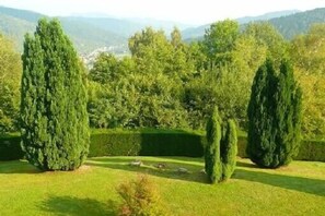 Property grounds - Les balcons de Fellering: Spacious apartment with panoramic view (Fellering)