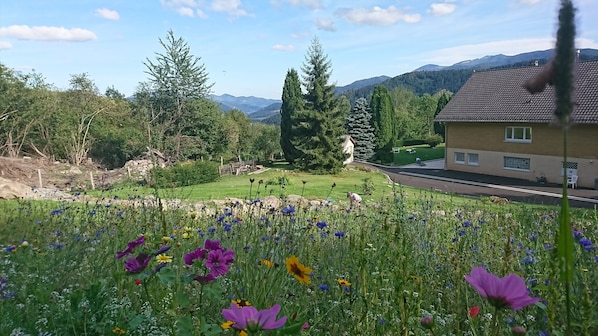A house with a sloped roof, surrounded by a garden with various flowers and trees. - Les balcons de Fellering: Spacious apartment with panoramic view (Fellering)