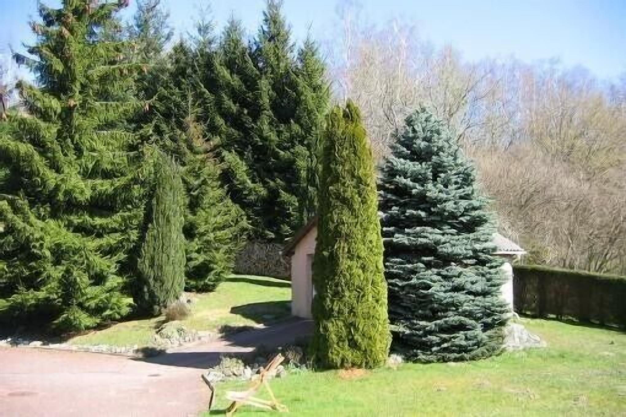 A garden with various trees, a pathway, and a small building.