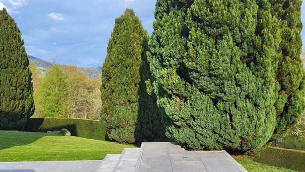 A landscaped garden with three tall, conical trees and a paved pathway. - Les balcons de Fellering: Spacious apartment with panoramic view (Fellering)