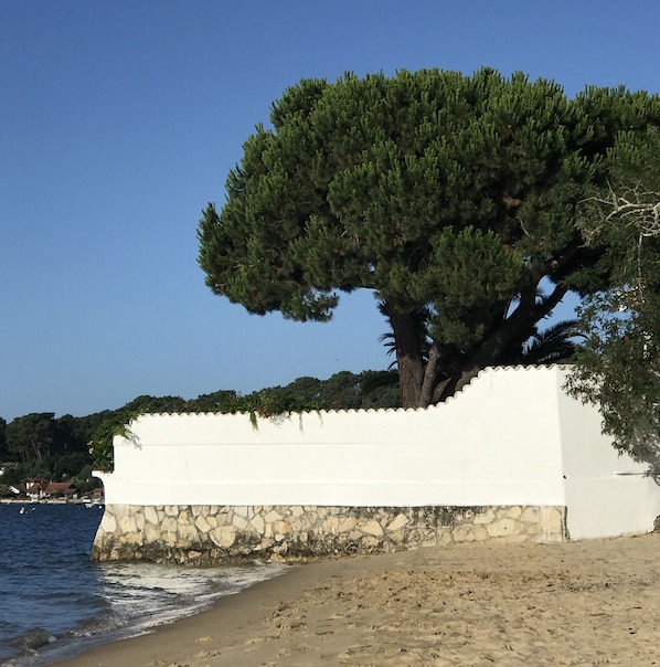 Beach nearby - Villa 5 minutes from the beach, ideal for vacations with family or friends! (Lège-Cap-Ferret)