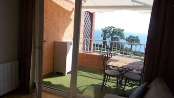 Télévision, table de tennis de table, livres