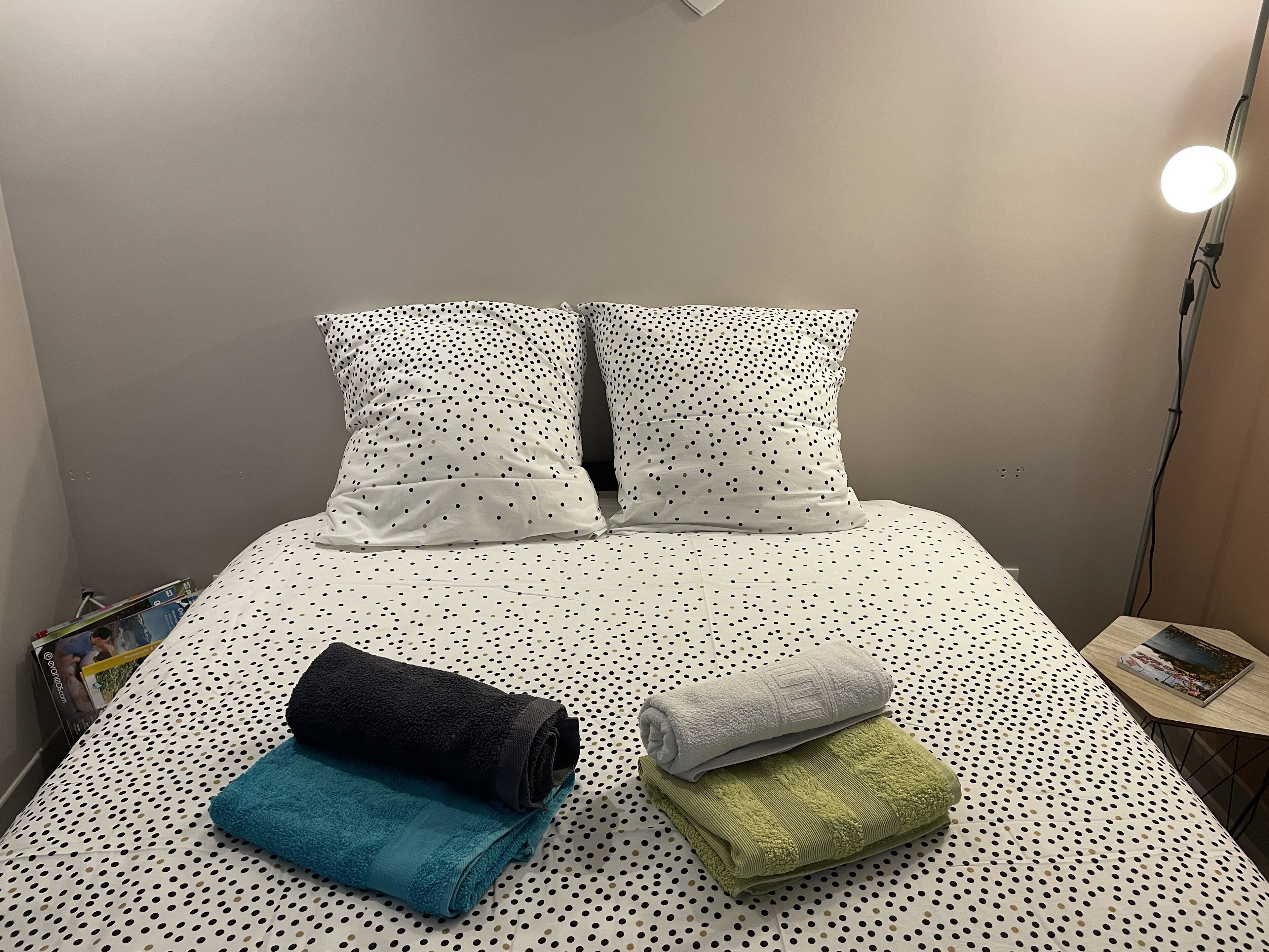 Independent T2 apartment in house near the center of LYON