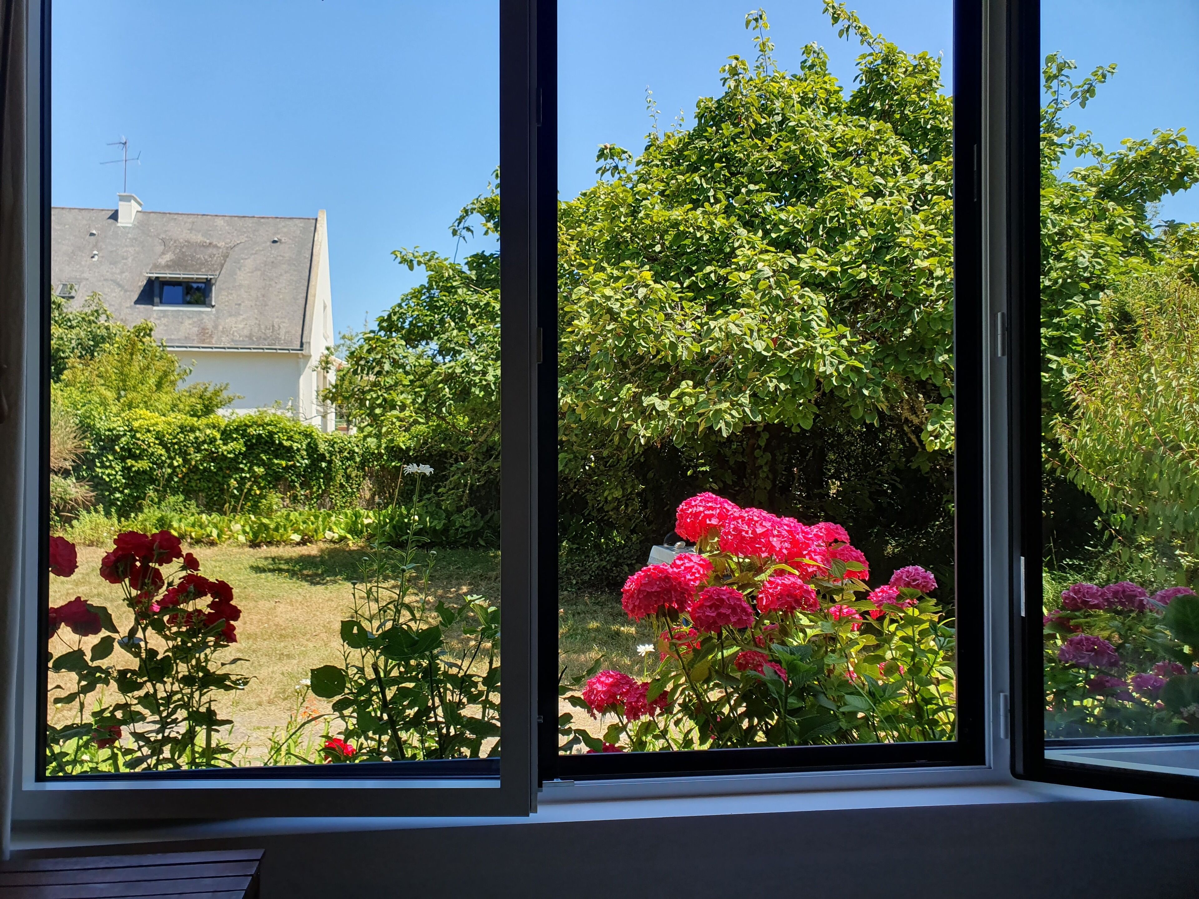 Une fenêtre donnant sur un jardin, où l’on peut admirer différentes plantes et fleurs.