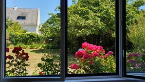 Een raam met uitzicht op een tuin, vol planten en bloemen.