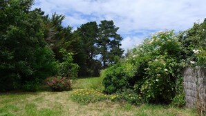 Een weelderige tuin met verschillende bomen en bloeiende planten.