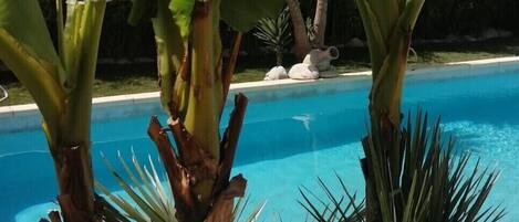 Piscina externa