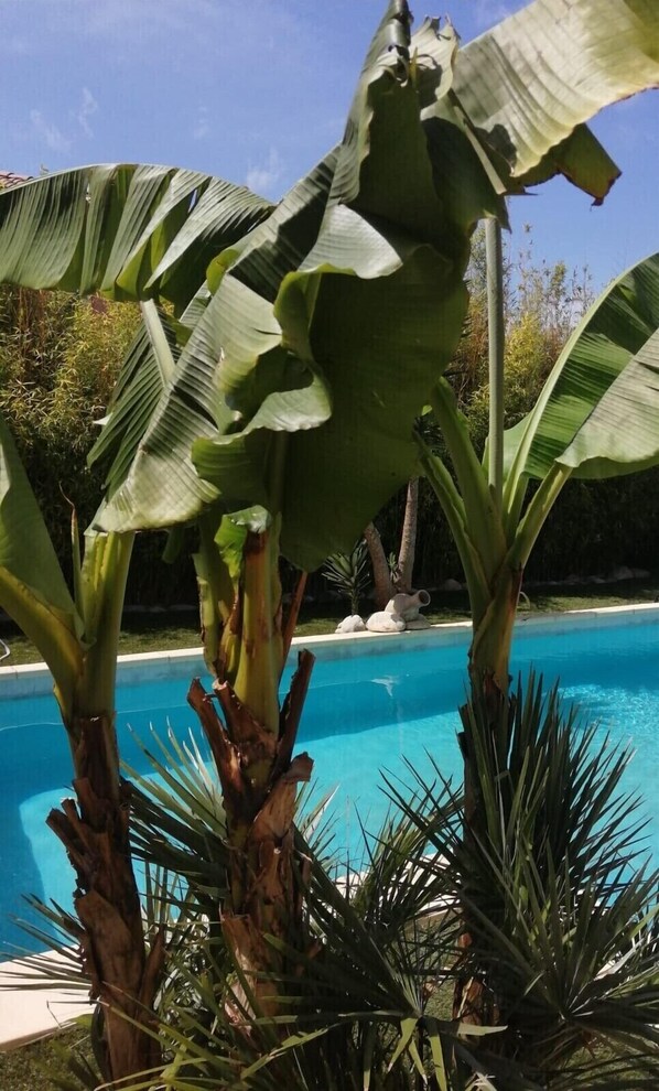 Piscine extérieure